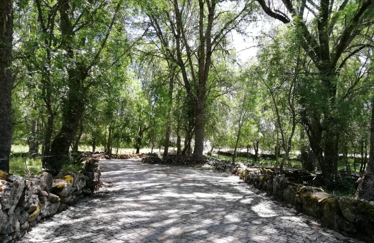Carya Tallaya - Casas De Campo Vale das Éguas Esterno foto
