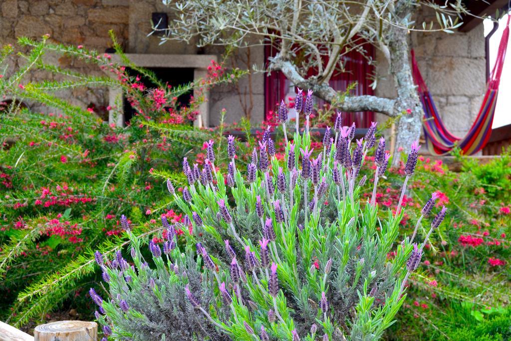 Carya Tallaya - Casas De Campo Vale das Éguas Esterno foto