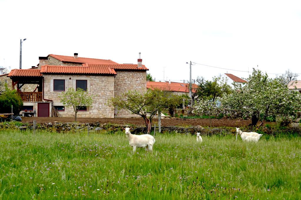 Carya Tallaya - Casas De Campo Vale das Éguas Esterno foto